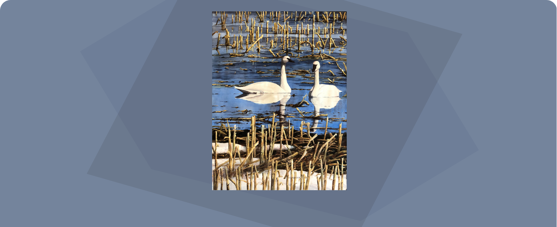 "Spring Thaw Trumpeters" by Thomas Schroeder